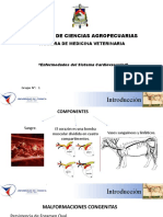 Clinica Menor Enfermedades Del Sistema Cardiovascular (Bovinos)