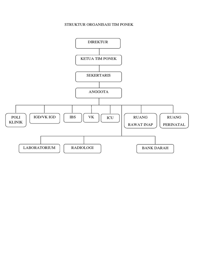 Warna Struktur Organisasi Tim Ponek | PDF
