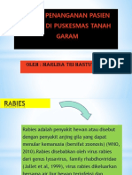 Rabies Tanah Garam