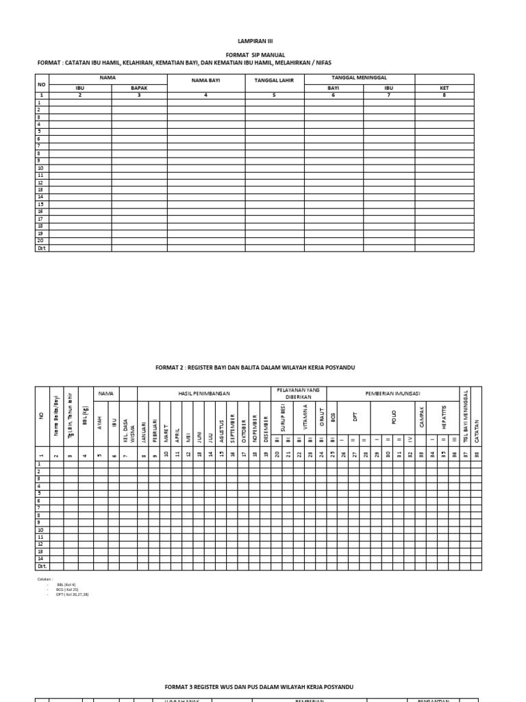 Format Data Posyandu