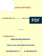 Pathology Mm Relations