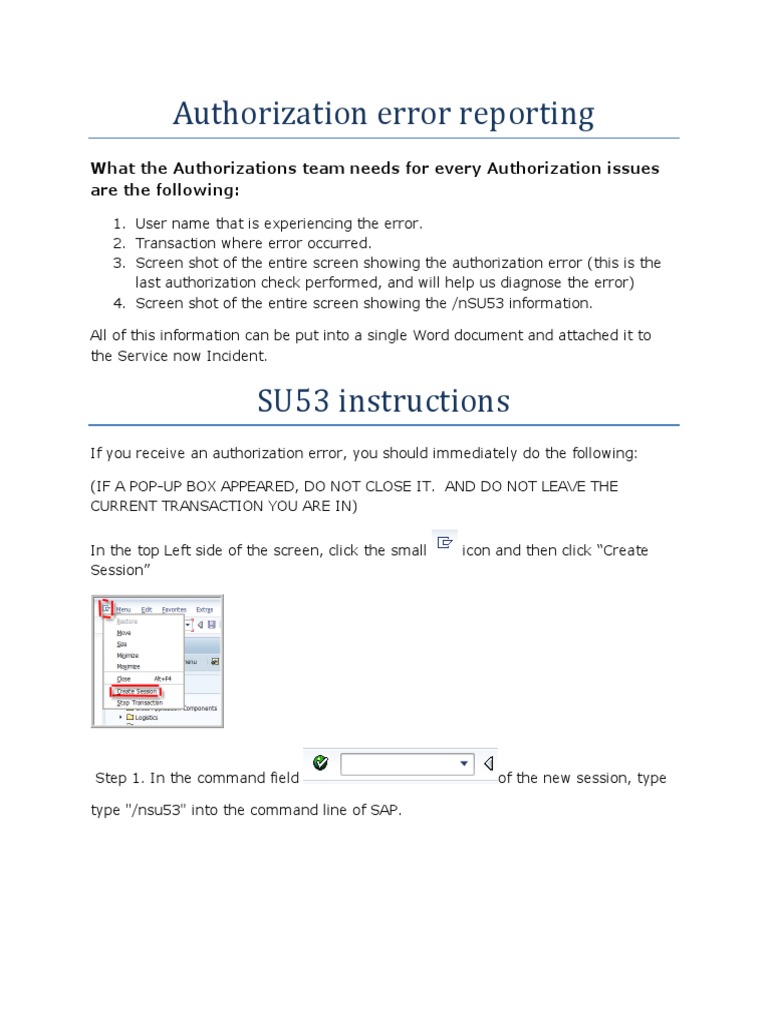 Authorization Error Reporting Guide | PDF