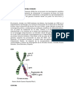 Proyecto Del Genoma Humano