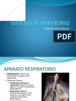 Sistema Respiratorio