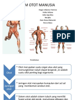 Tugas Anatomi Fisiologi Manusia, Sistem Otot Kelas 01 Kelompok 2