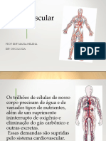 Aula 3 Sistema_Cardiovascular