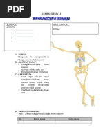 LEMBAR KERJA 1. tulang anggota gerak.docx