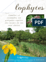 Hélophytes - Livret Eau & Rivieres de Bretagne