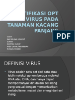 IDENTIFIKASI OPT VIRUS PADA TANAMAN KACANG PANJANG.pptx