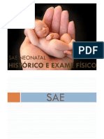 Aula_-_SAE_Neonatal_-_Histrico