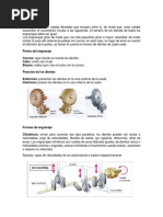 Elementos de Una Transmisión Rígida y Flexible | PDF | Engranaje ...