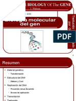 BioMolGen-Watson traduced(edwinw).ppt