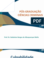 Aula 09 - Ciências Criminais - Slide Atualizado