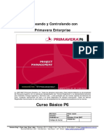 Manual PrimaveraProject Planner P6