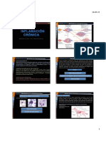 Inflamacion Crónica PDF