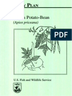 Price's Potato-Bean Recovery Plan