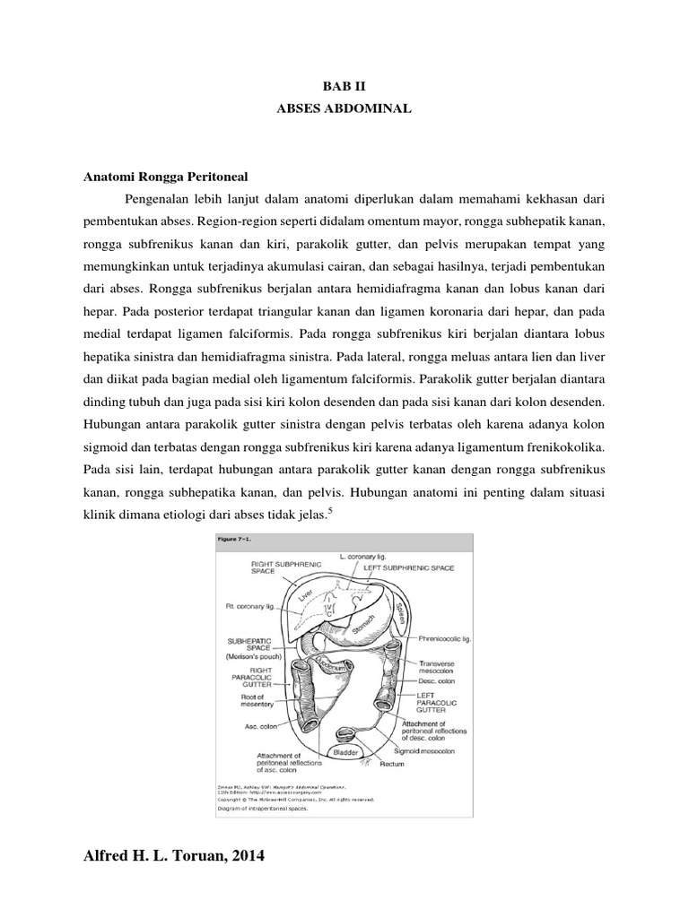 Abses Intraabdominal (Bab 2) | PDF