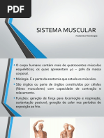 Sistema Muscular