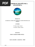 Diseño y Estructura de Redes para El Instituto "Cibernet"