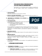 Formato y Lineamientos Proyecto de Agroindustria