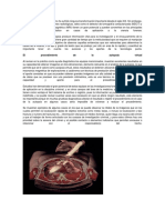 Virtopsia y Genoma Humano