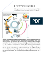 Proceso Industrial de La Leche