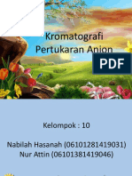 Kromatografi Pertukaran Anion