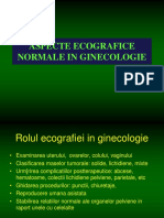 Aspecte Eco Normale in Ginecologie