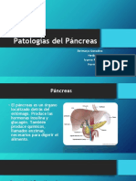 patologias del pancreas  1 