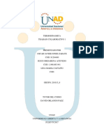 Trabajo Colaborativo 1. Actividad 1