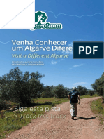 VA Guia de Campo PDF
