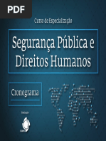 Encarte Segurança Pública e Direitos Humanos