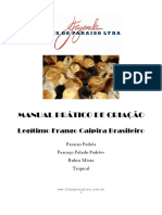 manual_paraiso_pedres.pdf