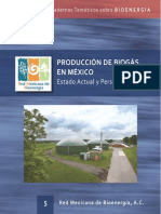 PRODUCCION DE BIOGAS EN MEXICO LIBRO.pdf