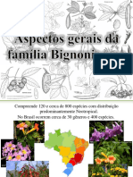 Aspectos gerais da família Bignoniaceae