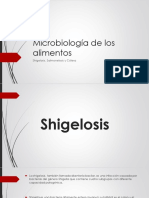 Shigelosis1