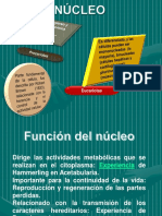 Biología Celular (III-IV Unidad) PDF