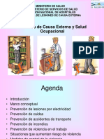 Lesiones de Causa Externa y Salud Ocupacional 2