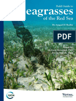 seagrassbook.pdf