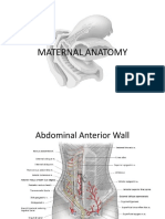 Maternal Anatomy.pptx