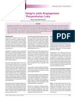 07_184Peranintegrin.pdf