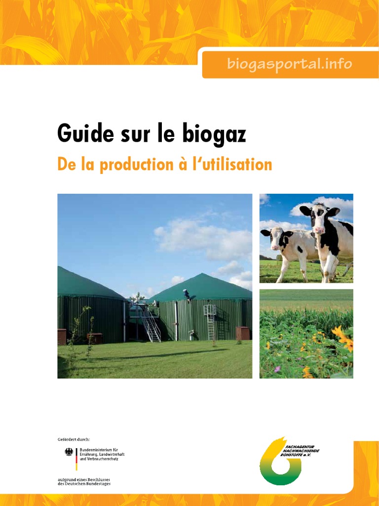 Comment Faire Du Biogaz Chez Soi Pdf