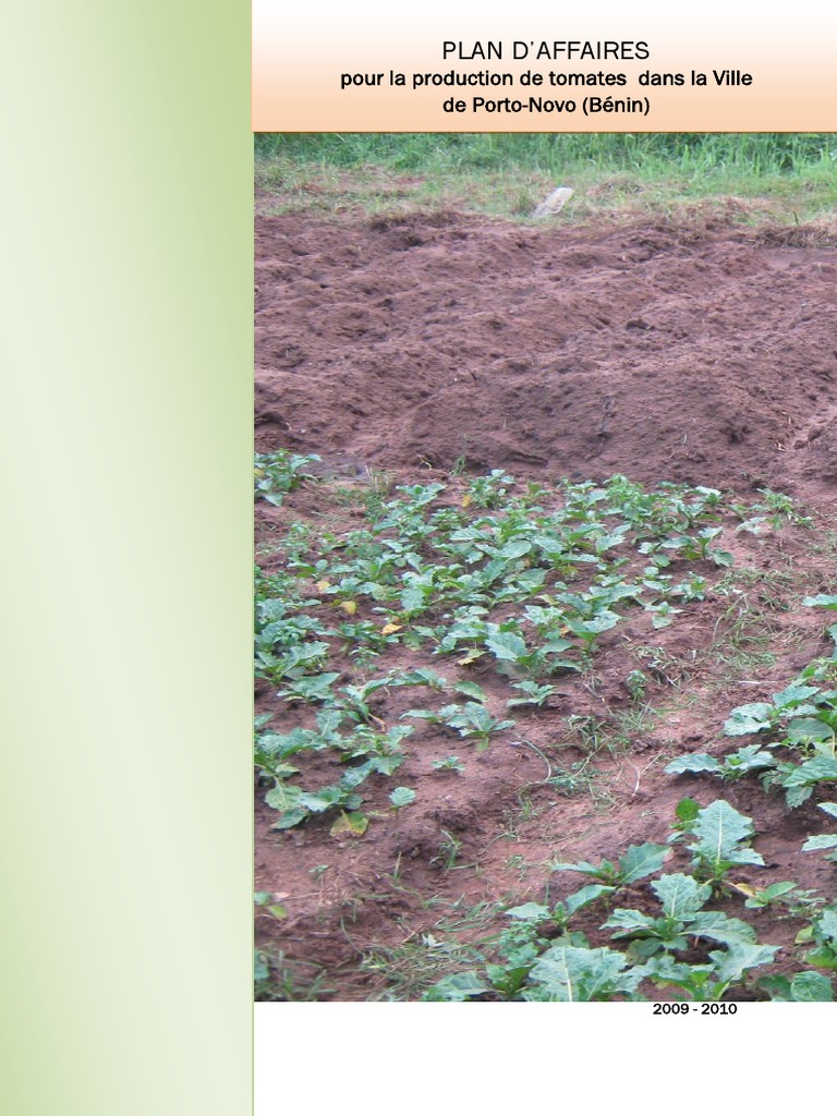 Tomato business plan in nigeria image