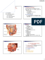 Tükrük Bezleri-Boğaz-Farinks - Alternatif Malaz (Uyumluluk Modu) PDF