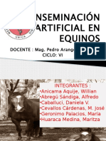 Inseminacion Artificial de Equinos