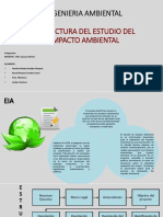 Estructura Del Eia