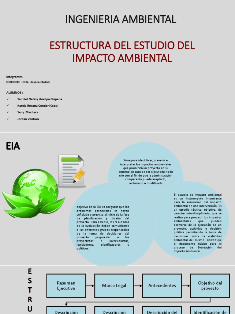 Estructura Del Eia | PDF | Evaluación de impacto ambiental | Science