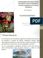 Plantas Maestras