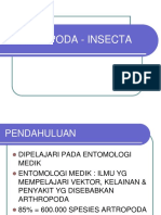 k35 - Arthropoda - Insecta