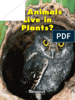 Do Animals Live in Plants